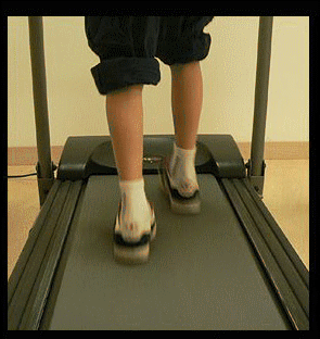 Rectusvsintoeinggait