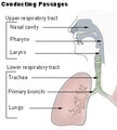 Thumbnail for version as of 19:44, October 2, 2008
