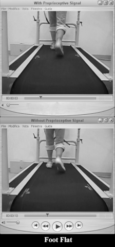 File:GA With vs Without PI.gif