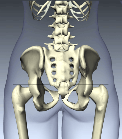 File:Foot to Innominate Link.gif