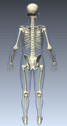 File:Pure APDP Rt.gif