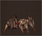 Hell Spider