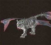 White tiger