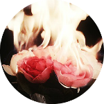 File:Dom (1).png