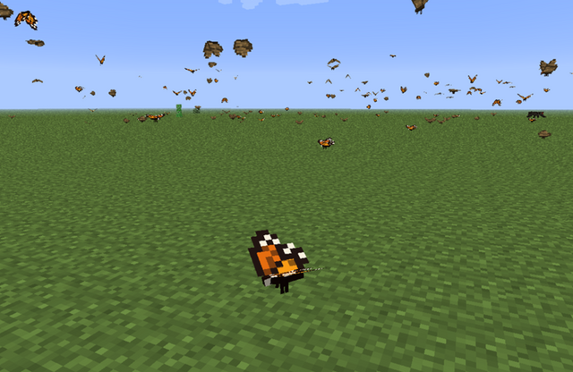 File:ButterflyNew.png.png
