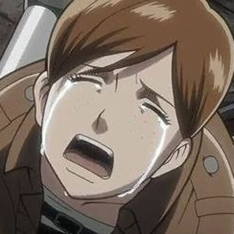 ファイル:ハンナ01.jpg