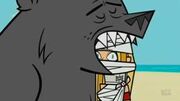Bruno.jpg