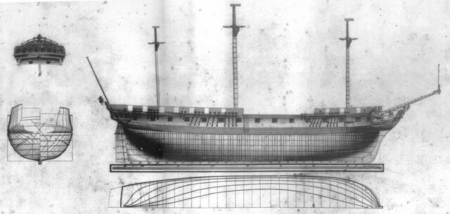 Archivo:HMSLively.jpg