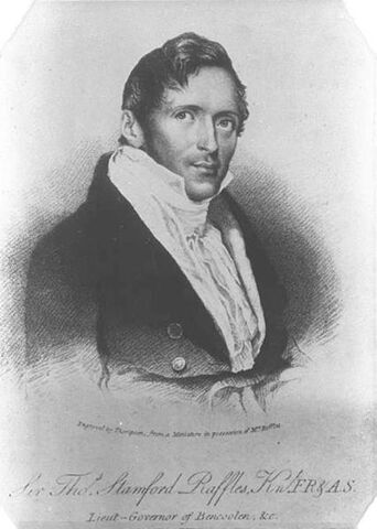 Archivo:Raffles.jpg