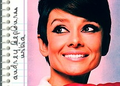 Thumbnail for version as of 16:18, July 9, 2009
