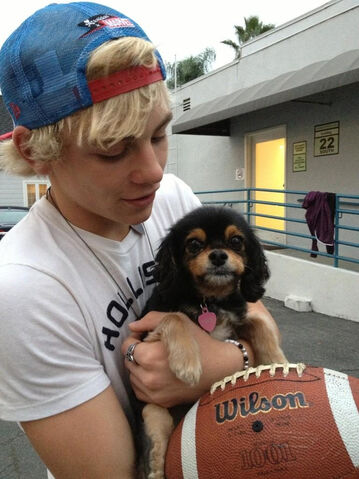 Archivo:Ross+Lynch+tumblr mg7vxxonZv1rdb0yfo1 500.jpg