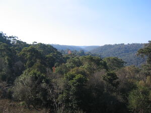 Rofe Park view