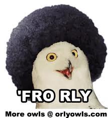 File:Fro Rly.jpeg