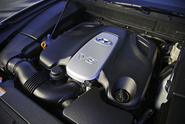 File:Equus-7585.jpg