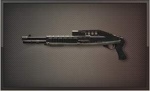 File:SPAS-12 MOD 0.jpg
