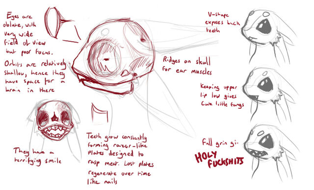 File:SkullAnatomy.jpg