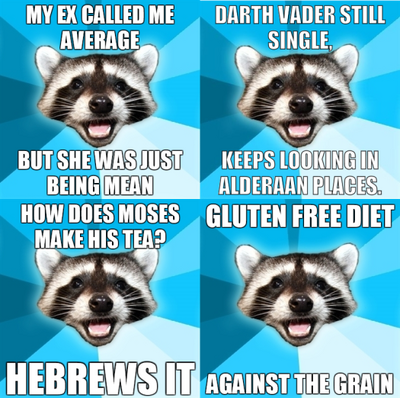 Lamepunraccoon