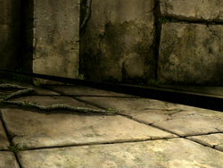 Trapwire.png