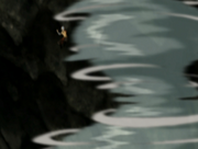 Tornado.png