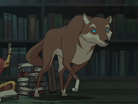 Knowledge Seeker
