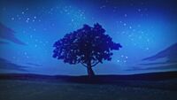 Nighttime