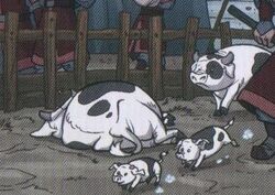 Koe Varken.jpg