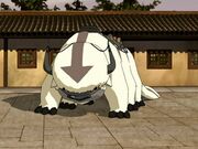 Appa.jpg