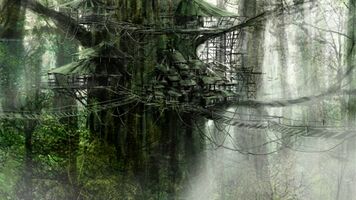 Outskirts maderia