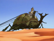 Giant rhinoceros beetle