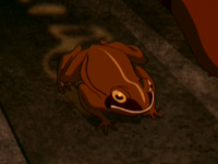 Wood frog.png