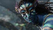 Avatar Neytiri1