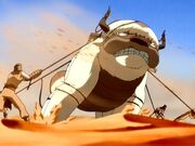 Appa 03.jpg