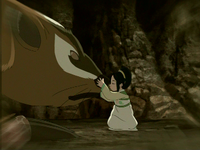 Toph befriends a badgermole.png