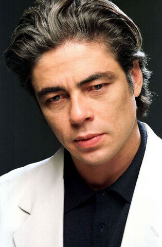 Datei:Benicio del Toro.jpg