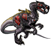 Raptor