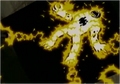 Thumbnail for version as of 06:19, December 22, 2011