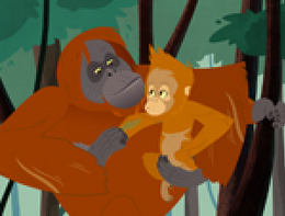 Orangutan 12.png