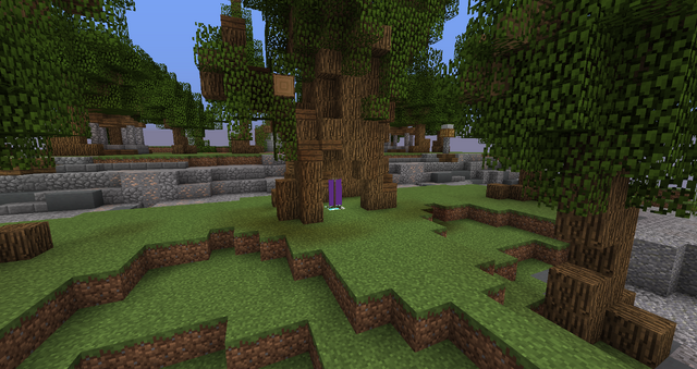 File:TerraCTFPurpleflag.png