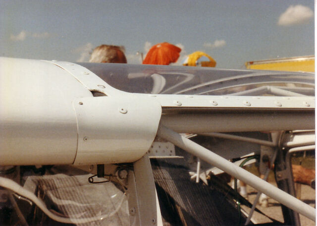 File:Wingroot1.jpg