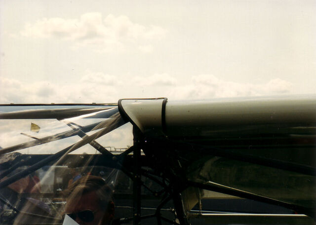 File:Wingroot3.jpg
