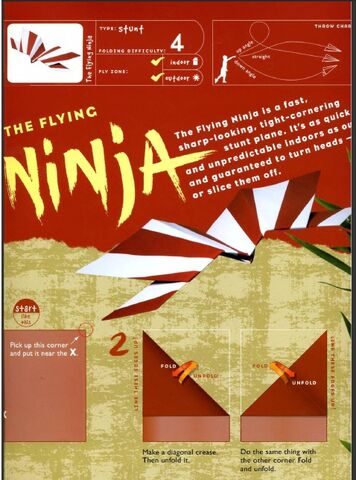 Archivo:Flying ninja 2.jpg