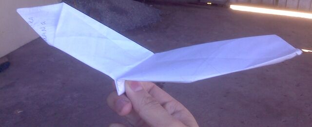 Archivo:Long winged glider avion.jpg