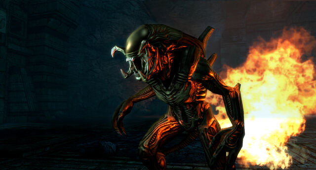 Файл:PredAlien 02.jpg