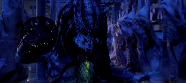 Файл:Predator-2-disc-and-effects.jpg