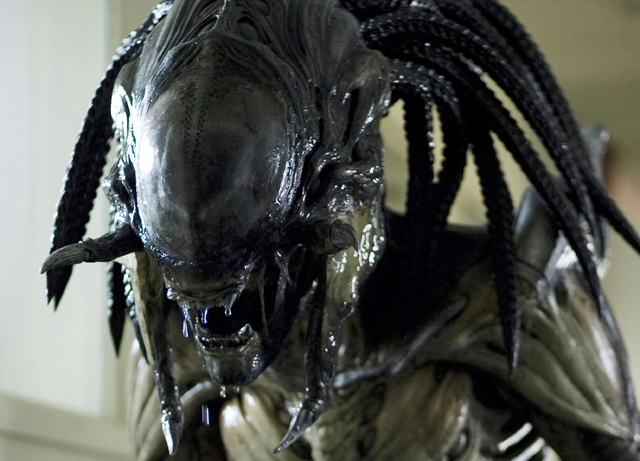 Файл:Alien-Predalien.png