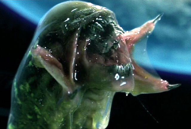 Файл:Chestburster Predalien.jpg