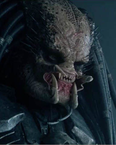 Файл:Scar2.png