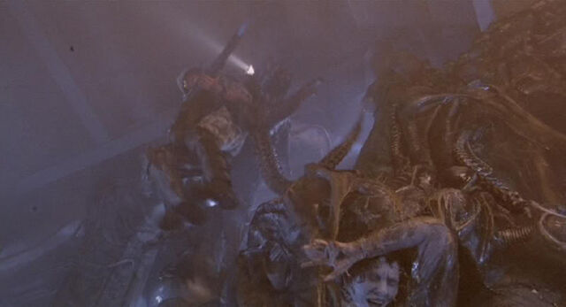 File:Dietrich being taken.jpg