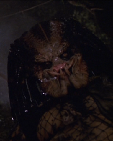 File:Jungle Hunter.png