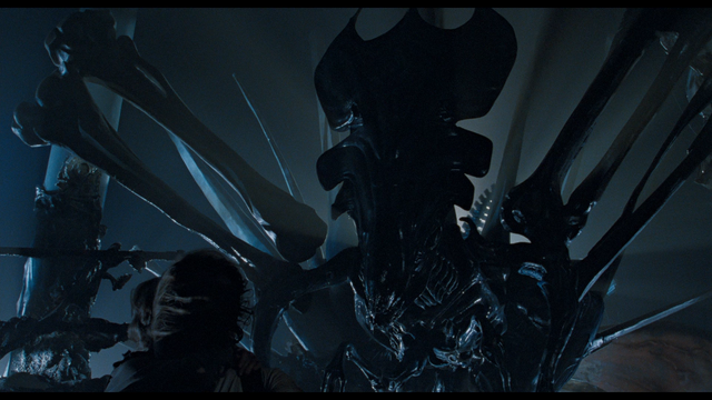File:Ripley finds Queen.png